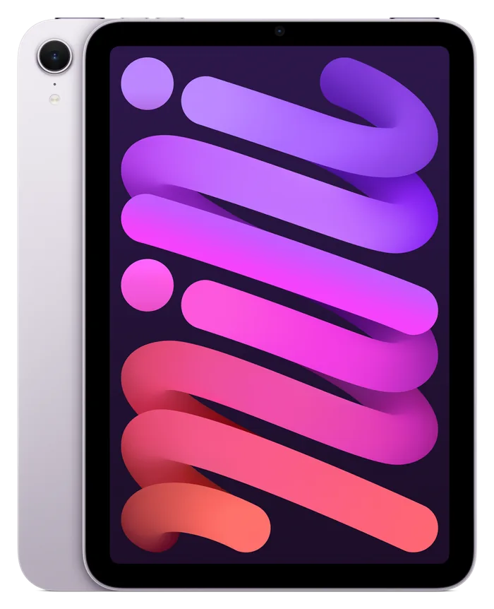 iPad Mini Purple